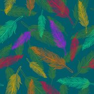 Ð¡olor feathers pattern