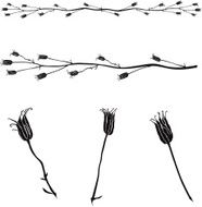 thistle - vector