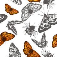 Butterfly vector pattern for design