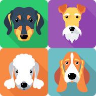 set dogs icon flat design