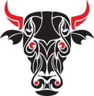 Bull N11