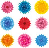 set of flower heads