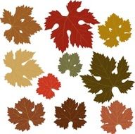 Autumn grape leaves