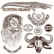 Collection of vector hand drawn savanna animals