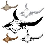 Animal scull vectors N2