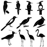Vector Collection of Bird Silhouettes