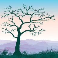 Mountain tree Vector N2