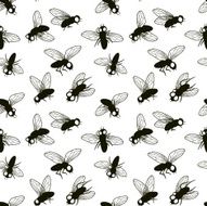 flies N2