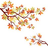 autumn leaves N91