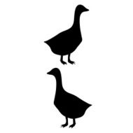 Goose Silhouette N3