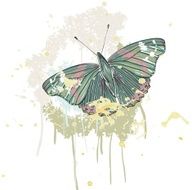 butterfly N141