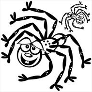 spider isolated on white background N2