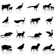 Farm Animal Silhouettes N6