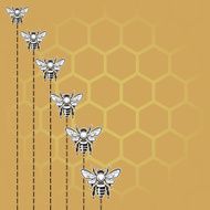 bee and honey background