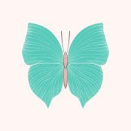 beautiful vintage blue butterfly isolated on white background N2