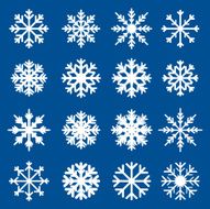 Set of white snowflakes N6