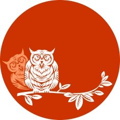 two owls on a branch