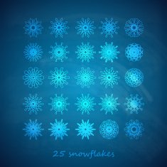 vector set of 25 graceful snowflakes on the blue backgrond