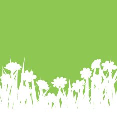 Spring Grass N4