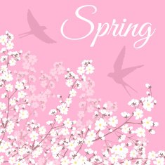 blooming tree and birds N7