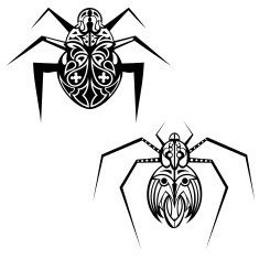Spider tattoo N2