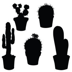 Vector silhouette of cacti