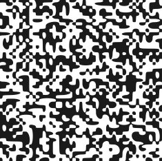 Black And White Noise N2