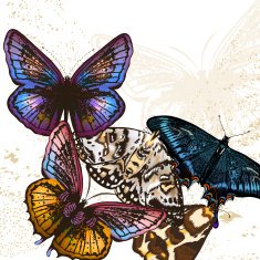 Fashion butterfly background N2