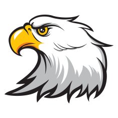 Eagle Head N14