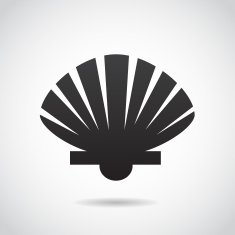 Shell icon isolated on white background