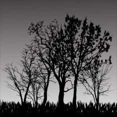 Vector silhouette of tree N33