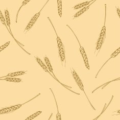 vector pattern spikelets