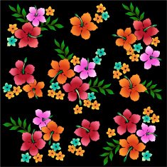 picture of Hibiscus N11