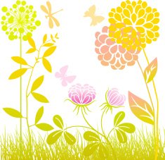 Meadow plants N5