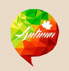 Autumn text and leaf shape over triangle speech bubble illustration N2
