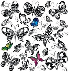 Set of butterflies N16
