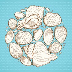 Seashell round design element