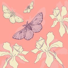 butterflies and narcissus