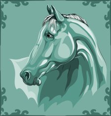 Horse Head N19