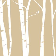 Birch Forest click & scroll down for more!
