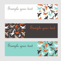 Banners with birds Cute flyer design Vector image N2