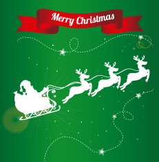Christmas design N88