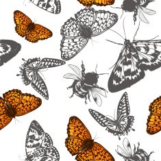 Butterfly vector pattern for design