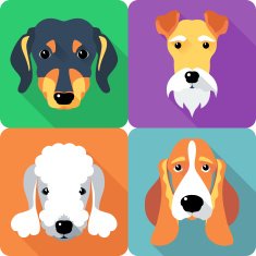 set dogs icon flat design