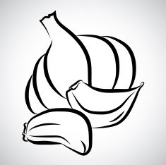 garlic N6