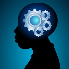 Young minds gears N2