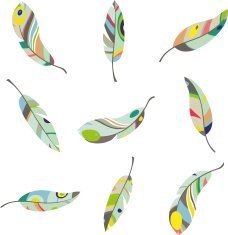 multicolored feathers set