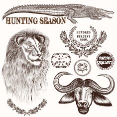 Collection of vector hand drawn savanna animals