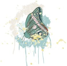 butterfly N140