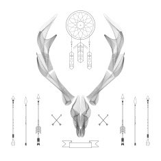 Abstract animal background line art Skull Antlers Vector Isolated N6